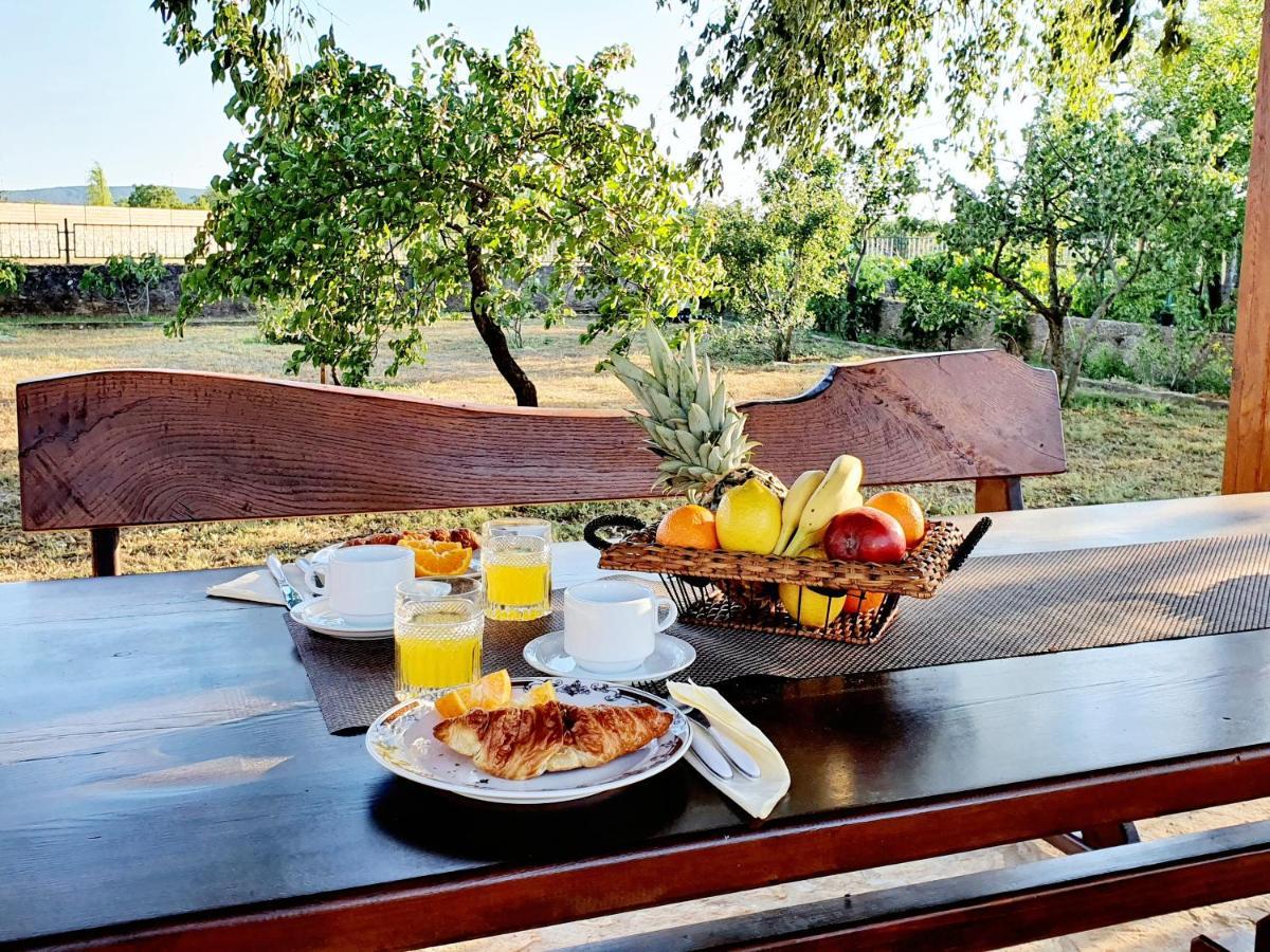Village House Fafarinka - Close To Krka National Park Konjevrate Zewnętrze zdjęcie